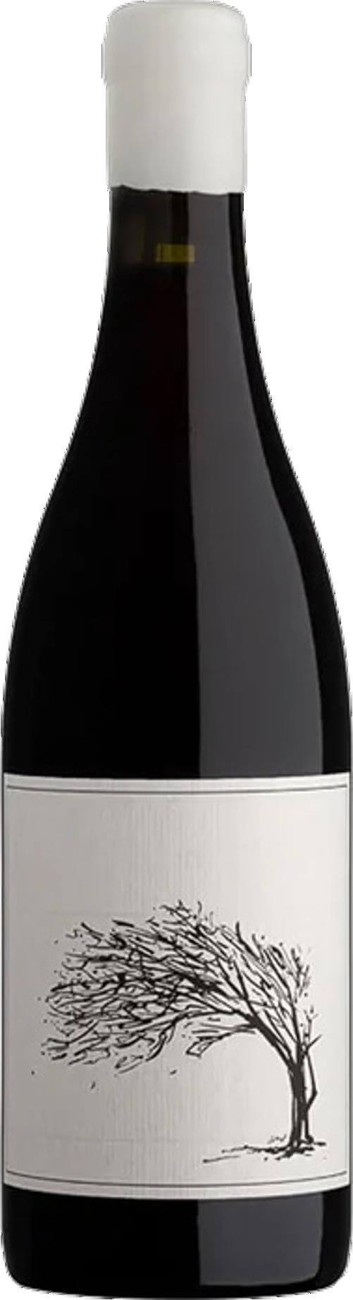 Savage Girl Next Door 2024