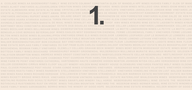 So geht es Anleitung zur Online Tasting Live Verkostung - zu Gast bei Weingütern in Südafrika