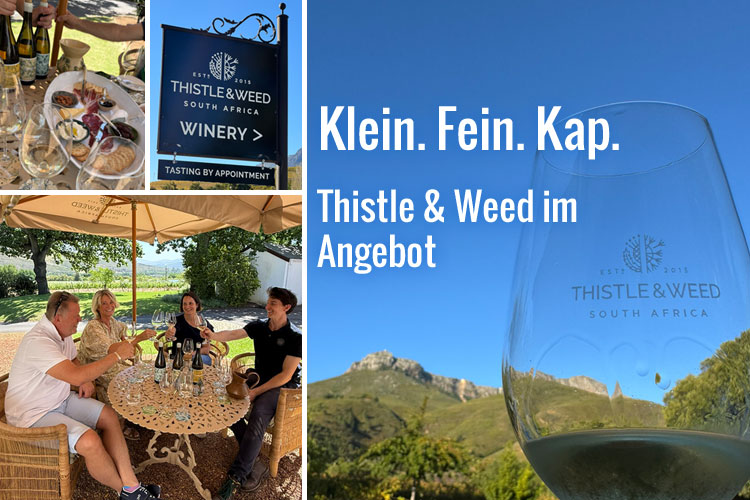 Newsletter Angebote der Woche