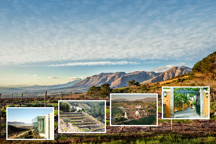 Die TOP 10 Weingüter aus Südafrika & Portugal