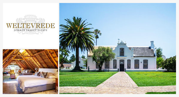 Übernachten auf einem Weingut in Südafrika - Vorstellung des Weingutes Weltevrede Estate, Region Stellenbosch
