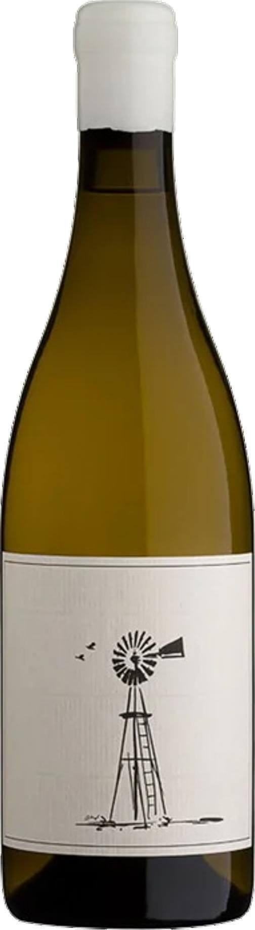 Savage Never Been Asked To Dance 2024