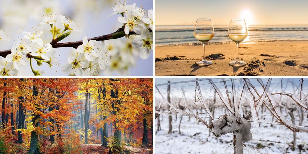 Viergeteiltes Bild der Jahreszeiten mit Frühling-, Sommer-, Herbst- und Winterlandschaft