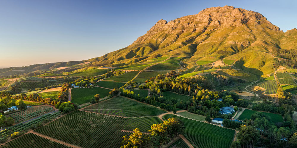 Spektakulärer Blick auf ein von der Sonne beschienenes Bergmassiv in Südafrika mit saftig grünen Weinfeldern davor