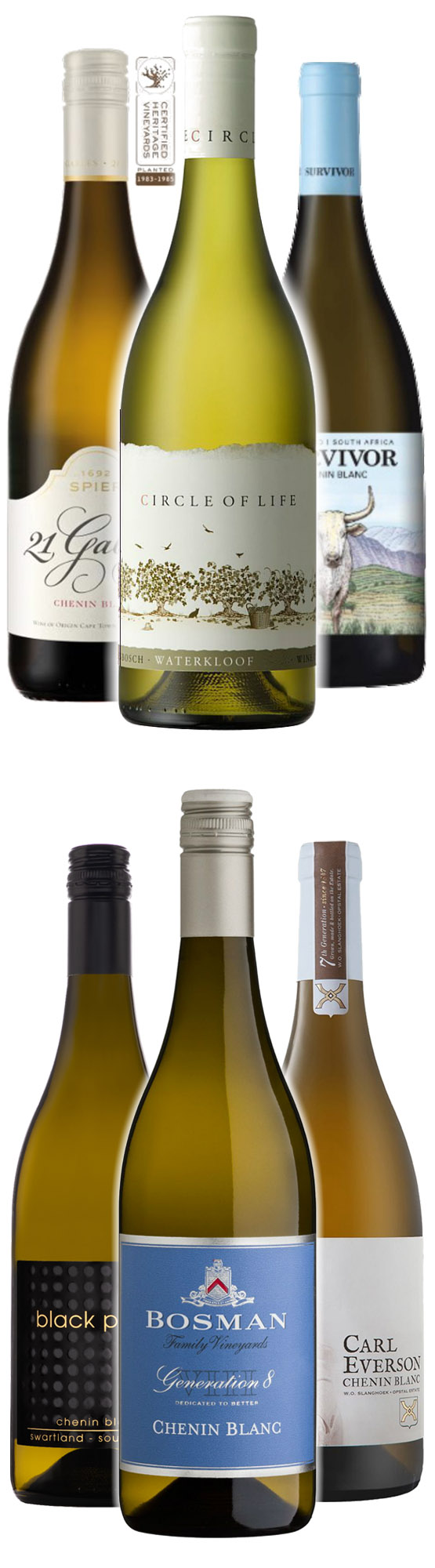 Probierpaket Chenin Blanc, der Tausendsassa