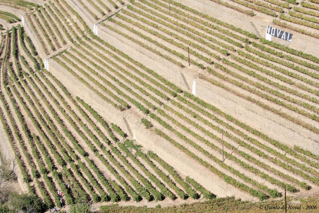 Quinta do Noval