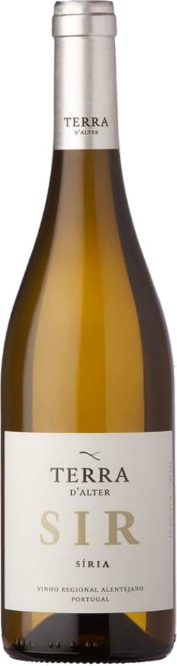 Terra d'Alter Siria 2019