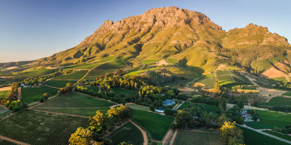Landschaftsaufnahme mit Blick auf das Weingut Thelema vor einem riesigen Bergmassiv in der Region Stellenbosch in Südafrika