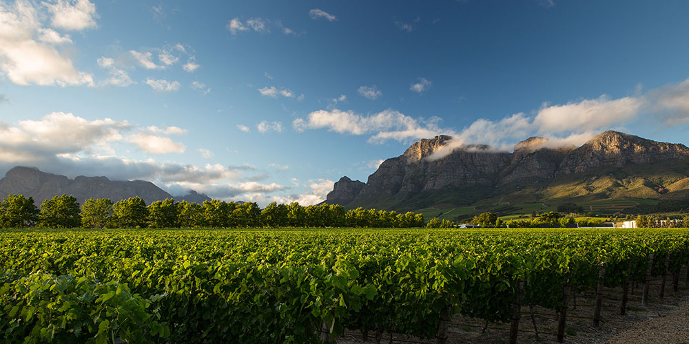 Rupert & Rothschild Vignerons