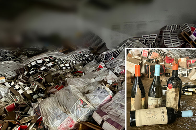 Newsletter Angebote der Woche