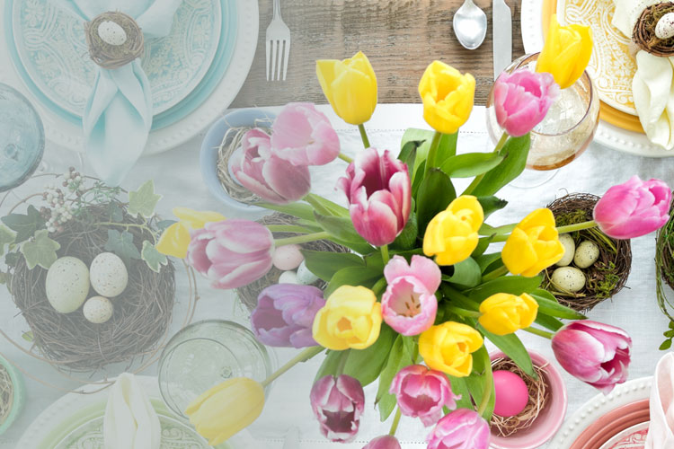 Newsletter Angebote der Woche