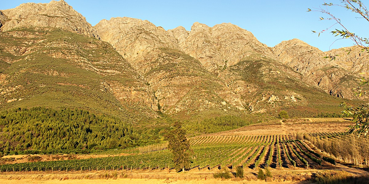 Fable Mountain Vineyards