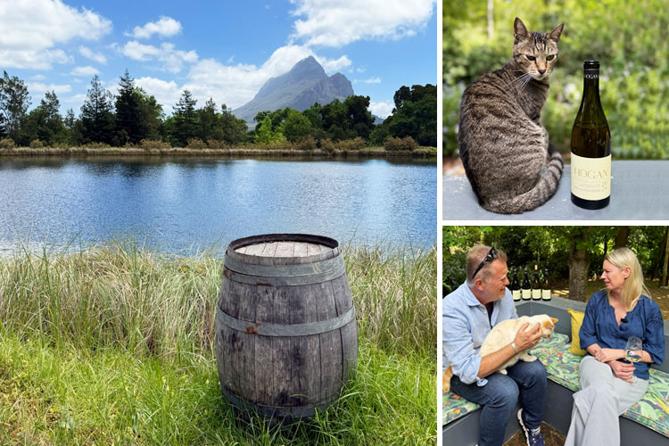 Newsletter Angebote der Woche