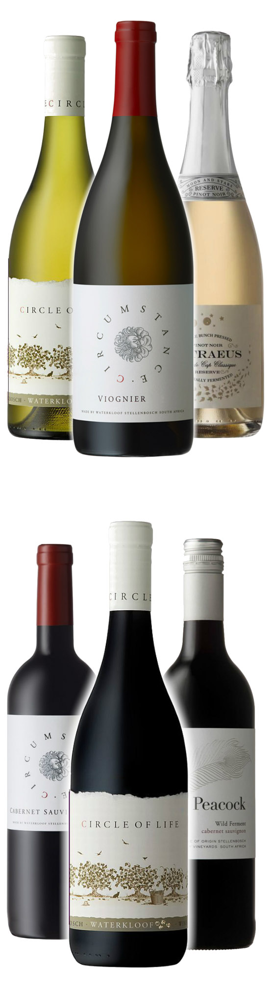 Weinreise zu Waterkloof