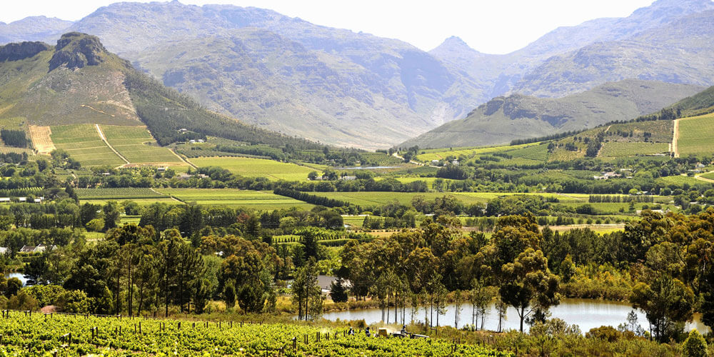 Landschaft in der Weinanbauregion Franschhoek in Südafrika