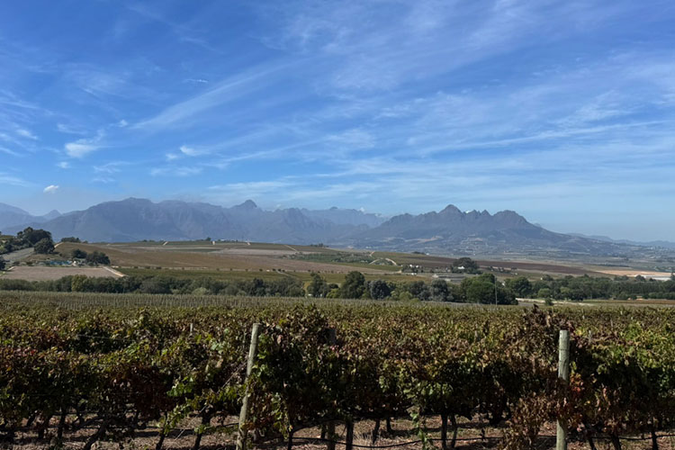 Newsletter Angebote der Woche