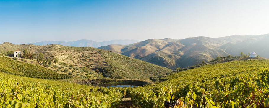 Rui Roboredo Madeira Vinhos