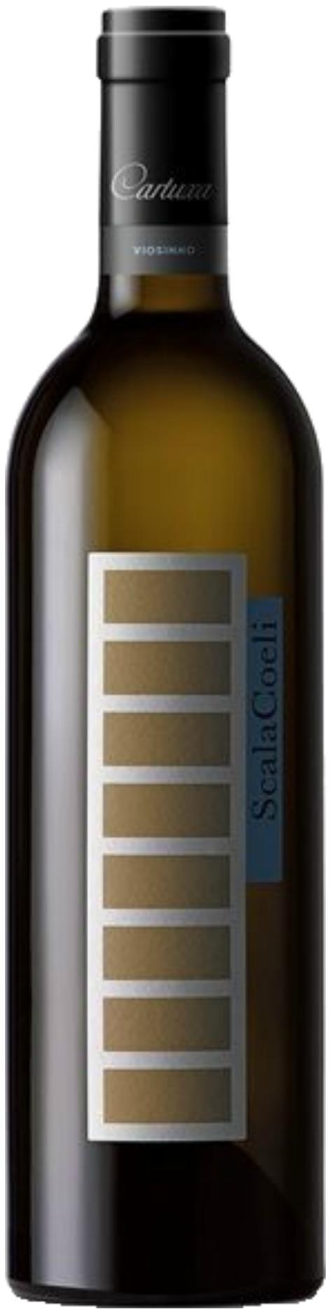 Scala Coeli Branco 2020
