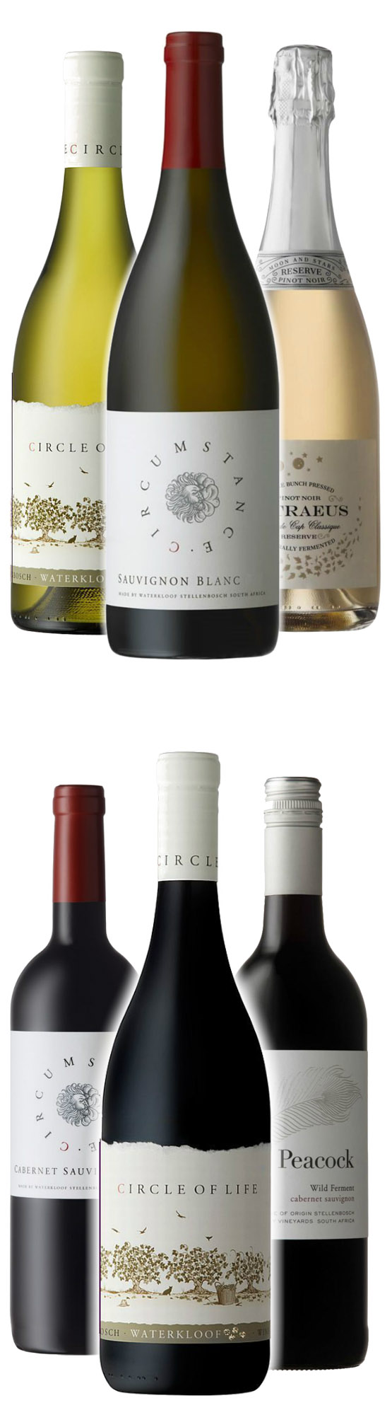 Weinreise zu Waterkloof