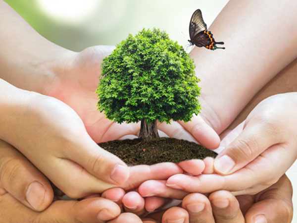 Biowein aus Südafrika & Portugal