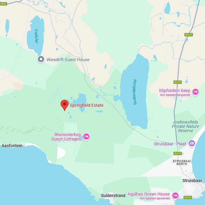 Springfield Estate Karte