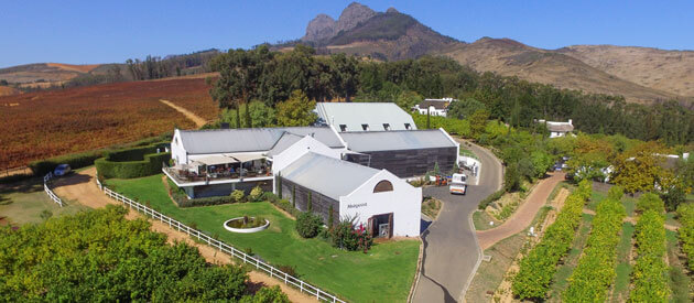 Marianne Wine Estate