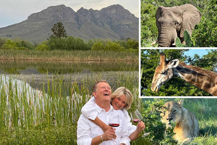 Newsletter Angebote der Woche