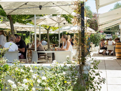 Übernachten auf einem Weingut in Südafrika - Vorstellung von Weingütern mit Übernachtungsmöglichkeit