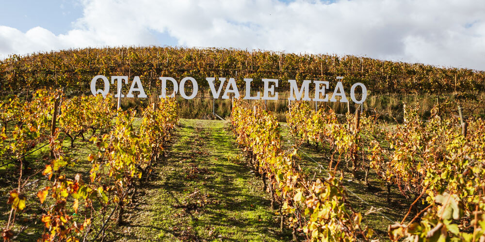 Quinta do Vale Meão