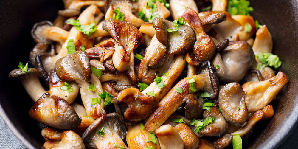 Wein zu Pilzen Wein zu Pilzen