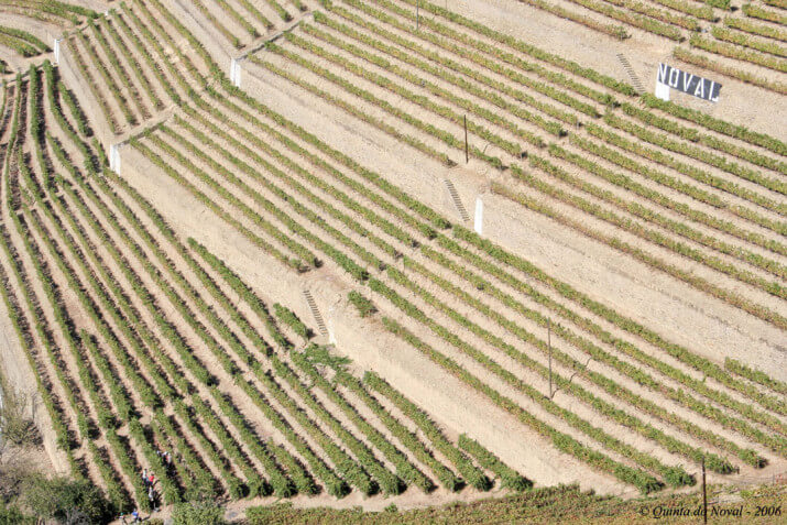 Quinta do Noval