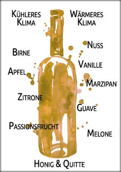 chenin-sawv chenin-sawv