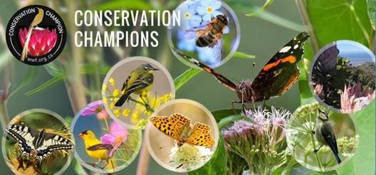 Conservation-ChampionsHNqXrHrbNxw1C Conservation-ChampionsHNqXrHrbNxw1C