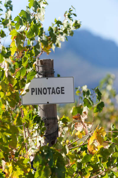 PinotageT71YmVPhTLnkT PinotageT71YmVPhTLnkT