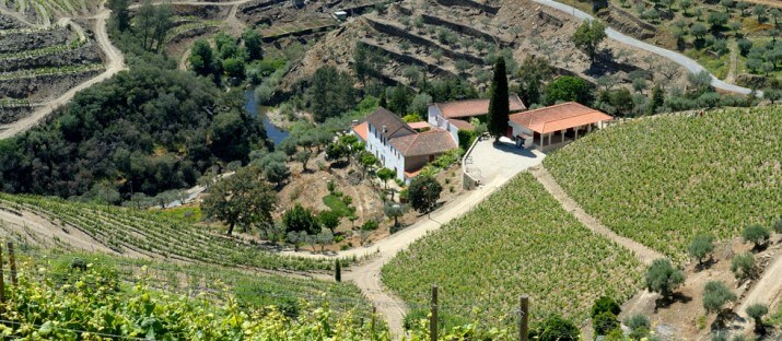Quinta do Passadouro Quinta do Passadouro