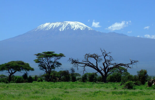 Kilimanjaro Kilimanjaro