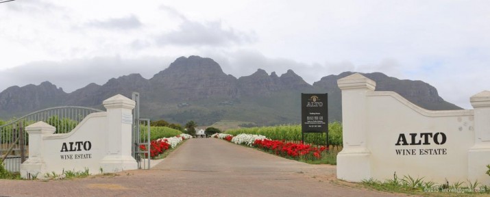 Alto Wine Estate