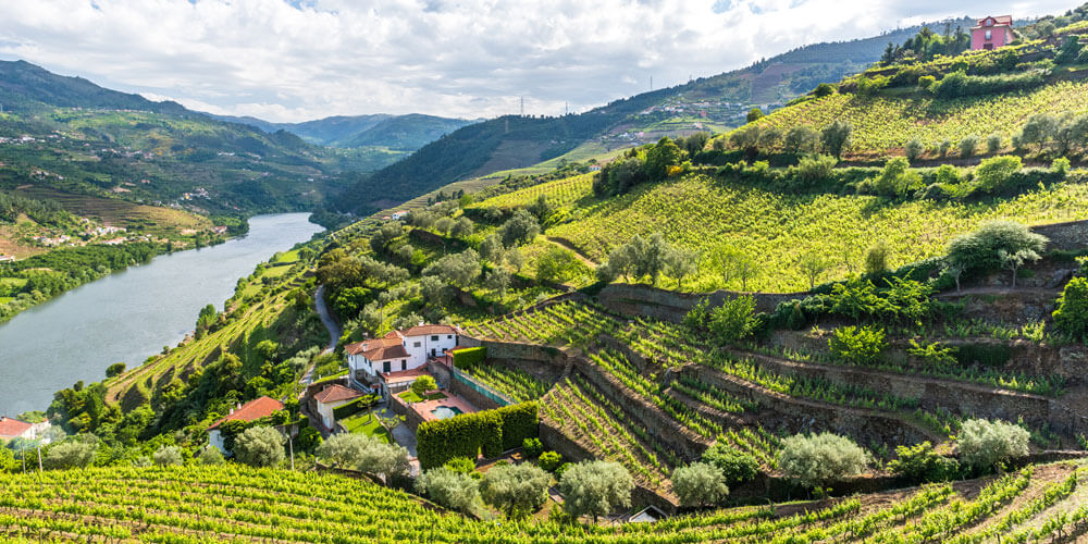 Portugiesische Rotweine Portugal