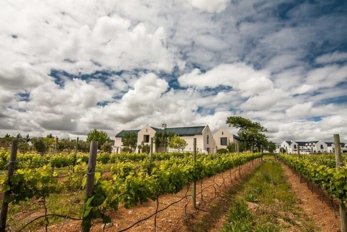 Croydon Vineyards Croydon Vineyards