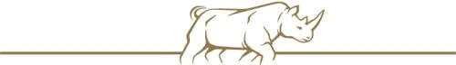 Rhino_Run_Bearbeitet Rhino_Run_Bearbeitet