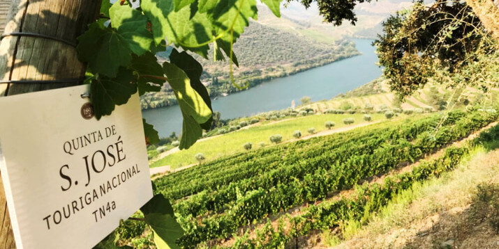 Quinta de S.José Quinta de S.José