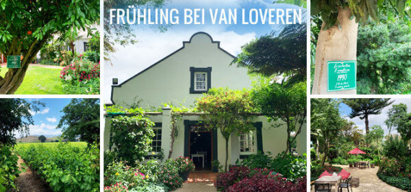 NLGrafik_666x311px_VanLoveren NLGrafik_666x311px_VanLoveren
