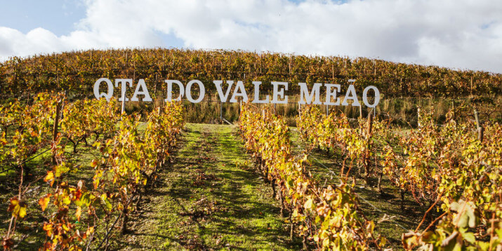 Quinta do Vale Meão Quinta do Vale Meão