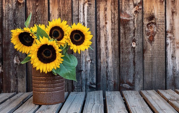 Karte "Sonnenblume"