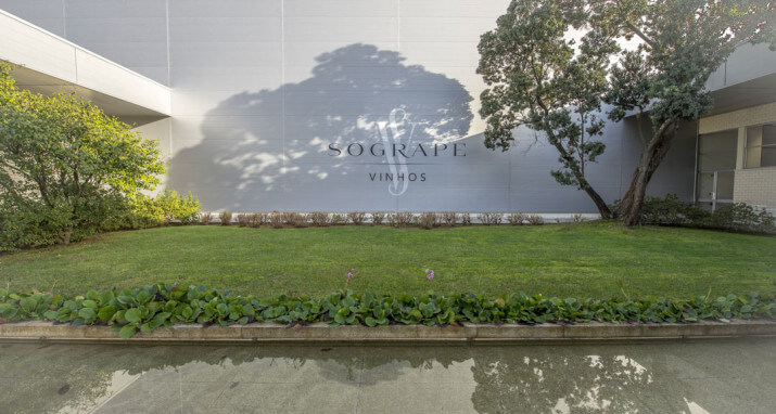 Sogrape Vinhos