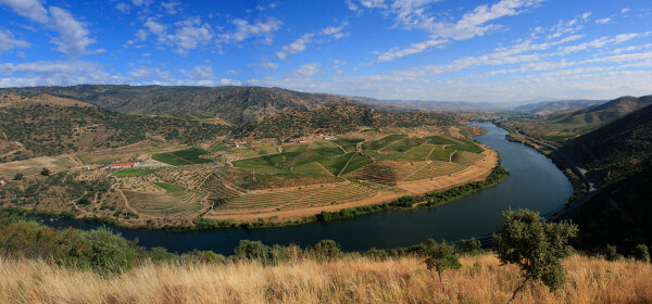 Quinta-Vale-Meao-Douro