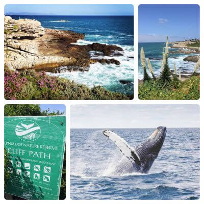 Hermanus Hermanus