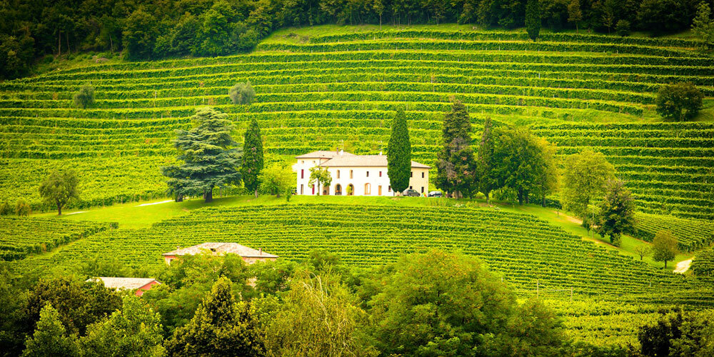 Italienische Rotweine Italy