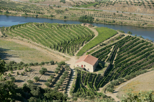 _N2K9517_p1 _N2K9517_p1