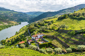 Península Portugal, | Casa de Douro, Verde Tal, Freitas, Ermelinda Curry Wines Vinho Weingut, Setúbal,